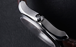 CARL F. BUCHERER(�J�[�� F. �u�w��)