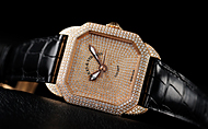 BACKES & STRAUSS(�o�b�N�X���X�g���E�X) ���i�[�N�E�R���N�V���� �o�[�N���C�iTHE MONARCH COLLECTION BARKLEY�j